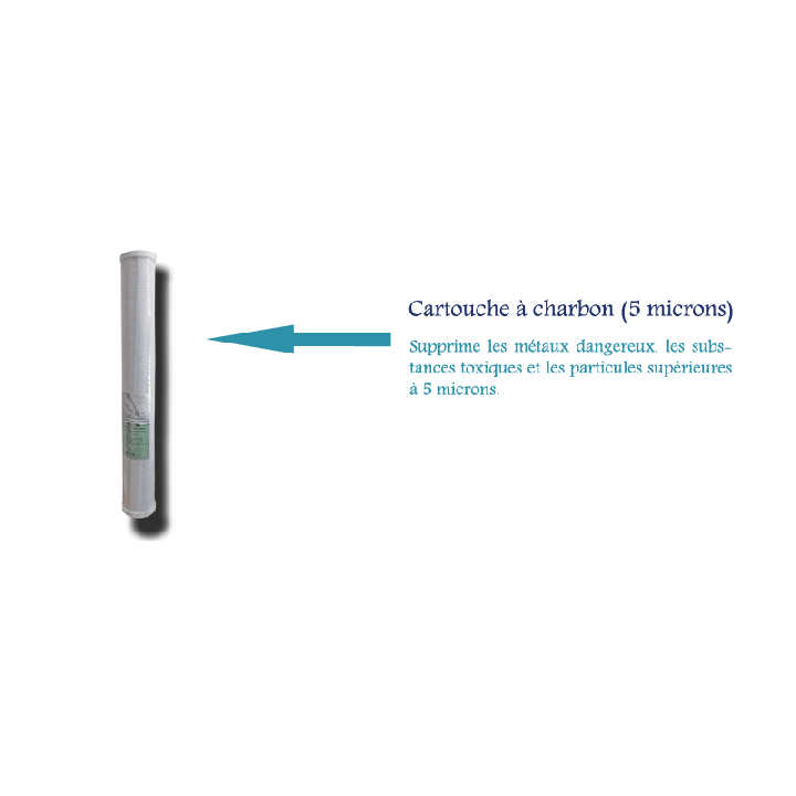 Cartouche à charbon DOUBLE 5 Micron (20 ‘) (GACX2)*