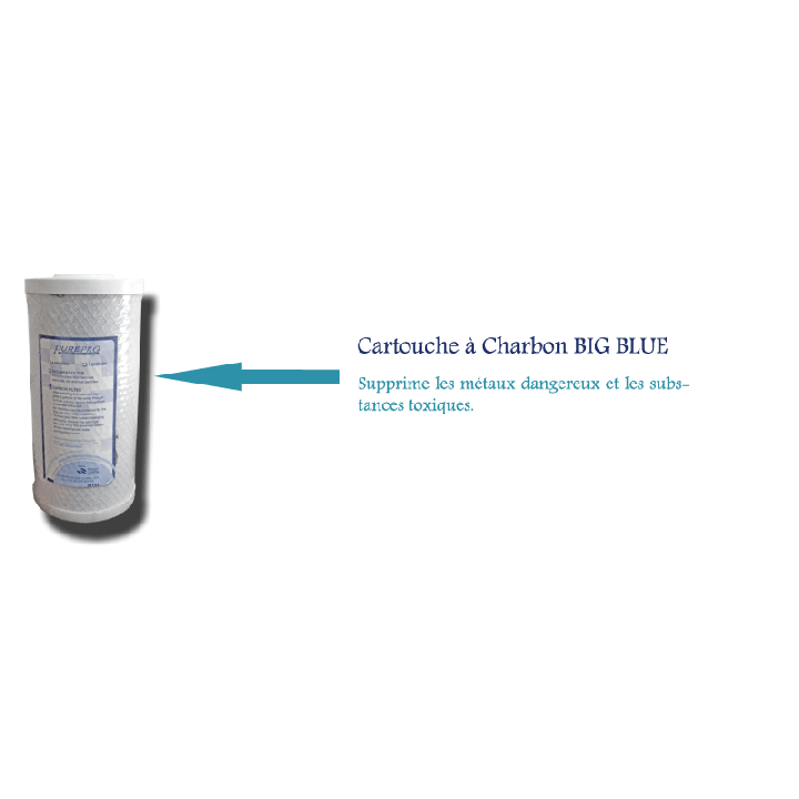 Cartouche à Charbon BIG BLUE 10’ (GAC UDFBB)*
