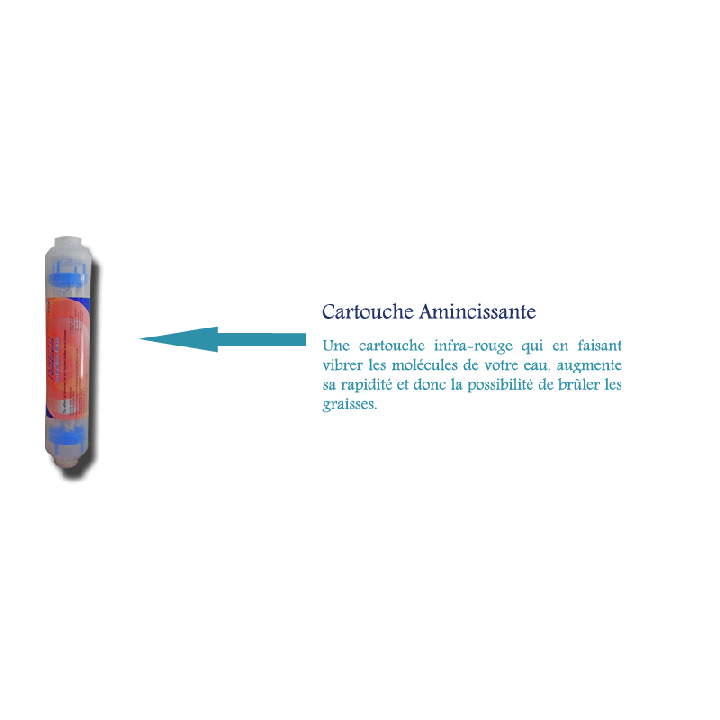 Hummingbird printed sweater