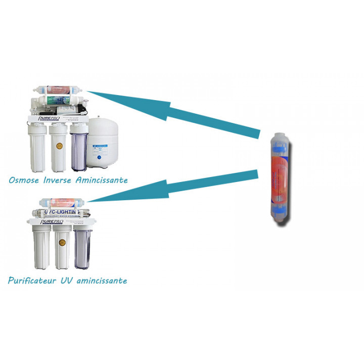 Hummingbird printed sweater